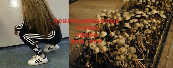 кокаин колумбия Иннополис