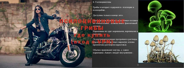 кокаин колумбия Иннополис